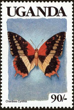 Colnect-4282-012-Western-Red-Charaxes-Charaxes-cynthia.jpg