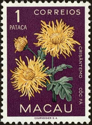 Colnect-4422-181-Chrysanthemum.jpg