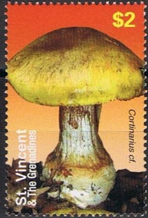 Colnect-4481-537-Cortinarius-cf.jpg