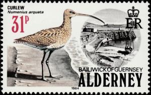 Colnect-4565-917-Eurasian-Curlew-Numenius-arquata.jpg