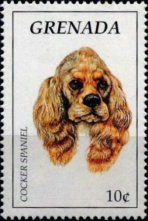 Colnect-4569-564-Cocker-spaniel.jpg