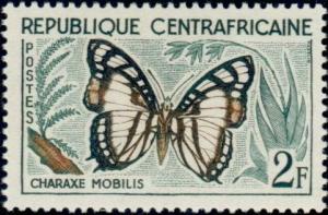 Colnect-504-966-Noble-White-Charaxes-Charaxes-nobilis.jpg