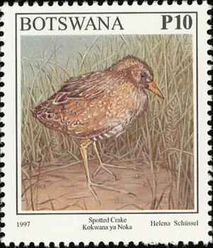 Colnect-5250-726-Spotted-Crake-Porzana-porzana-.jpg