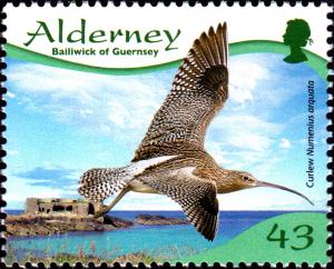 Colnect-5452-032-Eurasian-Curlew-Numenius-arquata.jpg