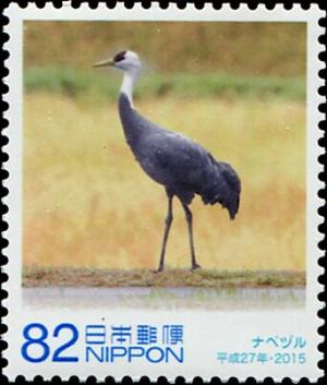 Colnect-5464-019-Monk-Crane-Grus-monacha.jpg