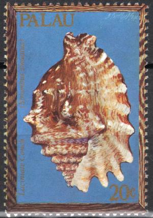 Colnect-5518-547-Laciniate-Conch-Strombus-sinuatus.jpg