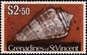 Colnect-5862-898-Antilles-Cone-Conus-dominicanus.jpg