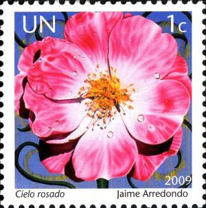 Colnect-611-519-Cielo-rosado.jpg