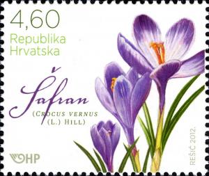 Colnect-6335-344-Spring-Crocus-Crocus-vernus.jpg