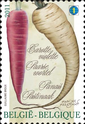 Colnect-679-705-Vegetables-of-the-past-Carotte-violette---Paarse-wortel---P.jpg