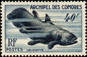 Colnect-787-696-West-Indean-Ocean-Coelacanth-Latimeria-chalumnae.jpg