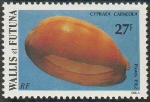 Colnect-897-411-Carnelian-Cowrie-Cypraea-carneola.jpg