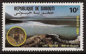 STS-Djibouti-2-300dpi.jpg-crop-649x407at1426-369.jpg