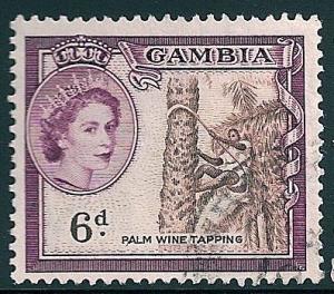 STS-Gambia-3-300dpi.jpg-crop-397x350at579-786.jpg