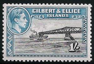 STS-Gilbert-1-300dpi.jpeg-crop-480x331at633-2962.jpg