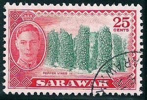 STS-Sarawak-2b-300dpi.jpg-crop-478x326at1886-250.jpg