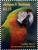 Colnect-2977-552-Catalina-macaw.jpg