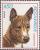 Colnect-1116-048-Basenji-Canis-lupus-familiaris.jpg