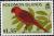 Colnect-4061-386-Cardinal-Lory.jpg