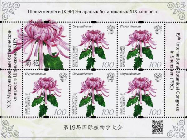 Colnect-4908-113-Chrysanthemum.jpg