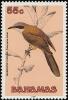 Colnect-576-827-Mangrove-Cuckoo-Coccyzus-minor.jpg