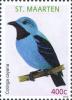 Colnect-2624-038-Spangled-Cotinga-Cotinga-cayana.jpg