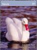 Colnect-5164-911-Coscoroba-swan.jpg