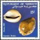 Colnect-1094-842-Trush-Cowry-Cypraea-turdus.jpg