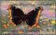 Colnect-1258-939-Mourning-Cloak-Nymphalis-antiopa.jpg