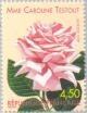 Colnect-146-678-Rose--laquo-Mme-Caroline-Testout-raquo--1890.jpg