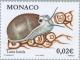 Colnect-150-159-Brown-Cowry-Luria-lurida.jpg