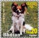 Colnect-3394-232-Papillon-Canis-lupus-familiaris.jpg