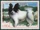 Colnect-3627-947-Papillon-Canis-lupus-familiaris.jpg