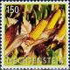 Colnect-3976-809-Corn-Zea-mays.jpg