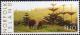 Colnect-4087-702-Grazing-cattle-and-pine-trees.jpg