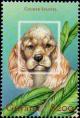 Colnect-4861-160-Cocker-Spaniel.jpg