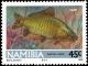 Colnect-5214-373-Common-Carp-Cyprinus-carpio.jpg