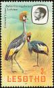 Colnect-745-207-Grey-Crowned-Crane-Balearica-regulorum.jpg