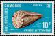 Colnect-787-757-Lettered-Cone-Conus-litteratus.jpg