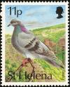 Colnect-1661-832-Rock-Dove-Columba-livia.jpg