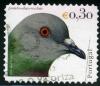 Colnect-1792-376-Rock-Dove-Columba-livia.jpg