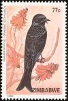 Colnect-2343-069-Fork-tailed-Drongo-Dicrurus-adsimilis.jpg