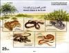 Colnect-2586-034-Desert-Snakes.jpg