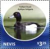 Colnect-4128-880-Tufted-Duck-Aythya-fuligula.jpg