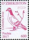 Colnect-4381-504-Rock-Dove-Columba-livia.jpg