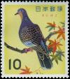 Colnect-5526-458-Oriental-Turtle-Dove-Streptopelia-Orientalis-.jpg