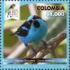 Colnect-5965-078-Turquoise-Dacnis-Dacnis-hartlaubi.jpg