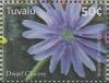 Colnect-6268-802-Dwarf-Chicory.jpg