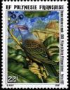 Colnect-698-742-Rapa-Fruit-Dove-Ptilinopus-huttoni-.jpg