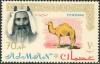 Colnect-723-096-Sheik-Rashid-and-Dromedary-Camelus-dromedarius.jpg